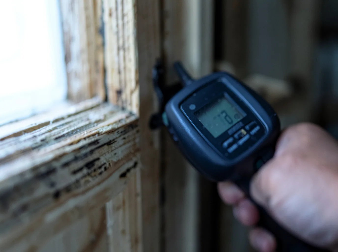 Commercial Water Damage Restoration in Allendale, MI